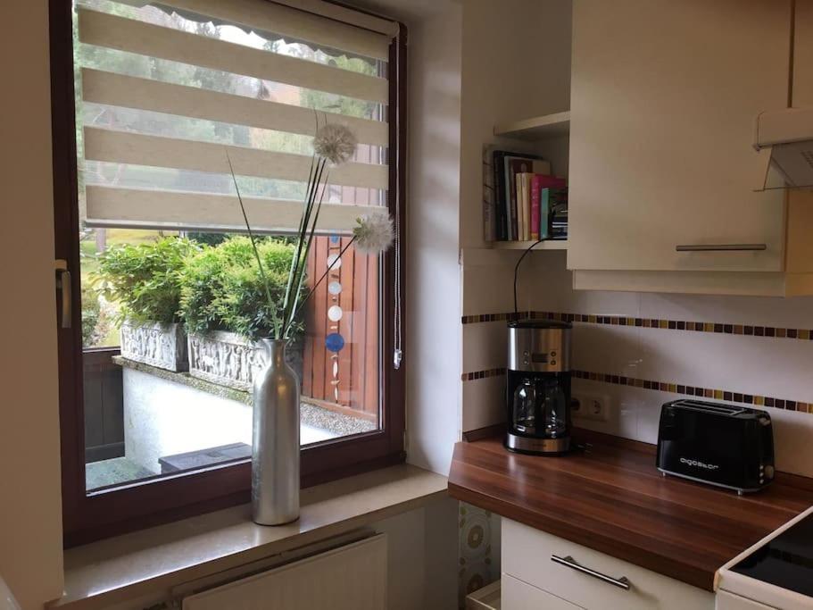 Wohnung Direkt Am Tegernsee Mit Xl-Terrasse Гмунд-ам-Тегернзе Екстер'єр фото
